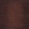 Belfast Top Grain Leather Chair Brown Primary Living Space Mid Century Modern Eucalyptus Down Filling Leather