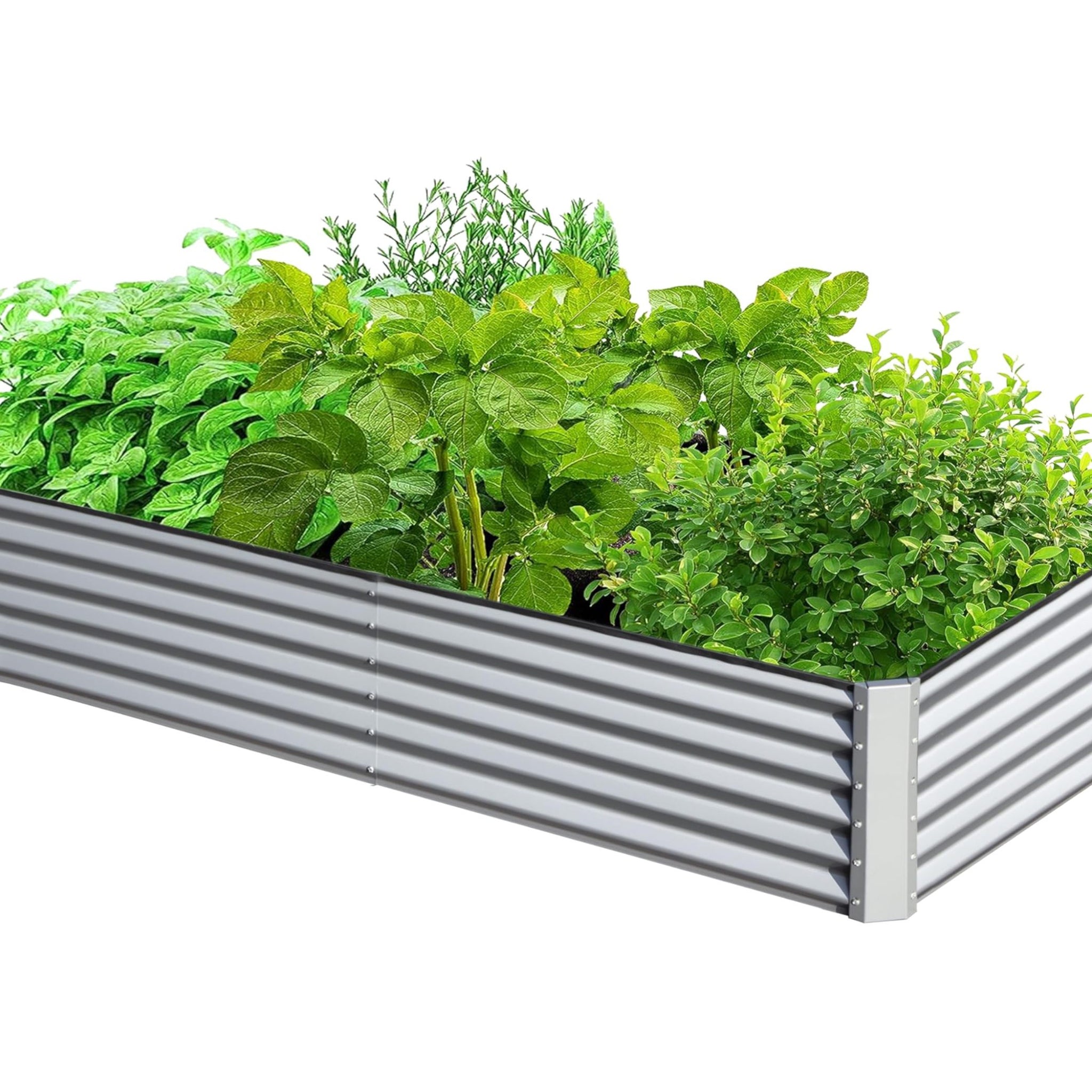 6X3X1.5Ft Galvanized Raised Garden Bed, Outdoor Planter Garden Boxes Large Metal Planter Box For Gardening Vegetables Fruits Flowers, Silver Silver White Garden & Outdoor Steel