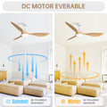 56 Inch Modern Ceiling Fans Dimmable Led Light Quiet Dc Reversible Motor For Indoor & Outdoor White Abs