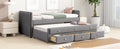 Twin Size Upholstered Daybed With Twin Size Trundle And Drawers, Velvet, Gray Box Spring Not Required Twin Gray Velvet