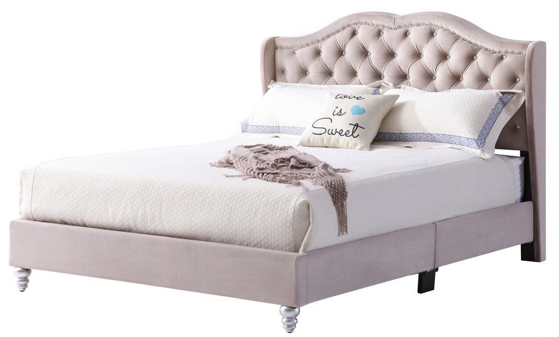 Elegant Transitional Queen Upholstered Bed Box Spring Required Queen Beige Foam Velvet Velvet