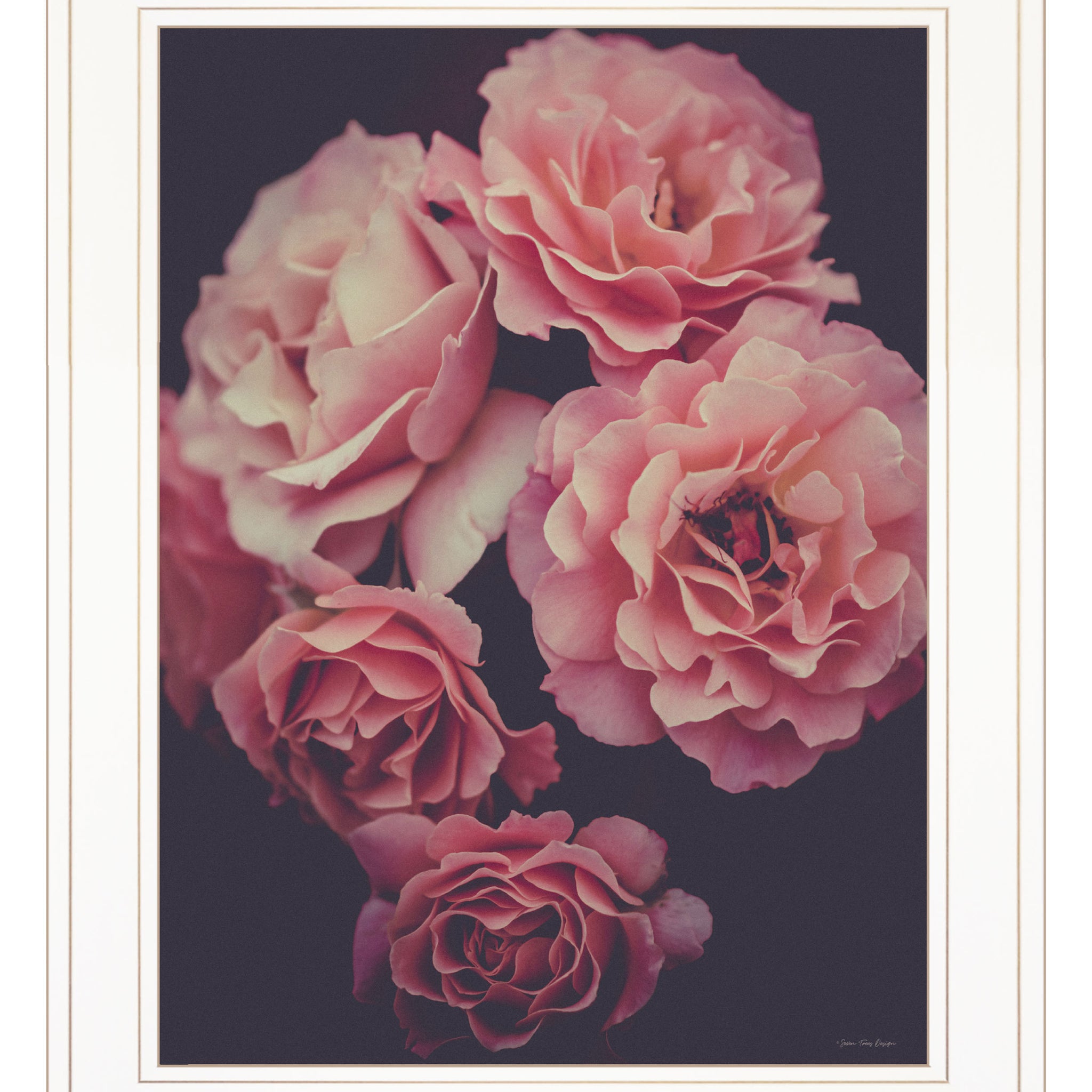 "Dreamy Rose" By Seven Trees Design, Ready To Hang Framed Print, White Frame Multicolor Paper