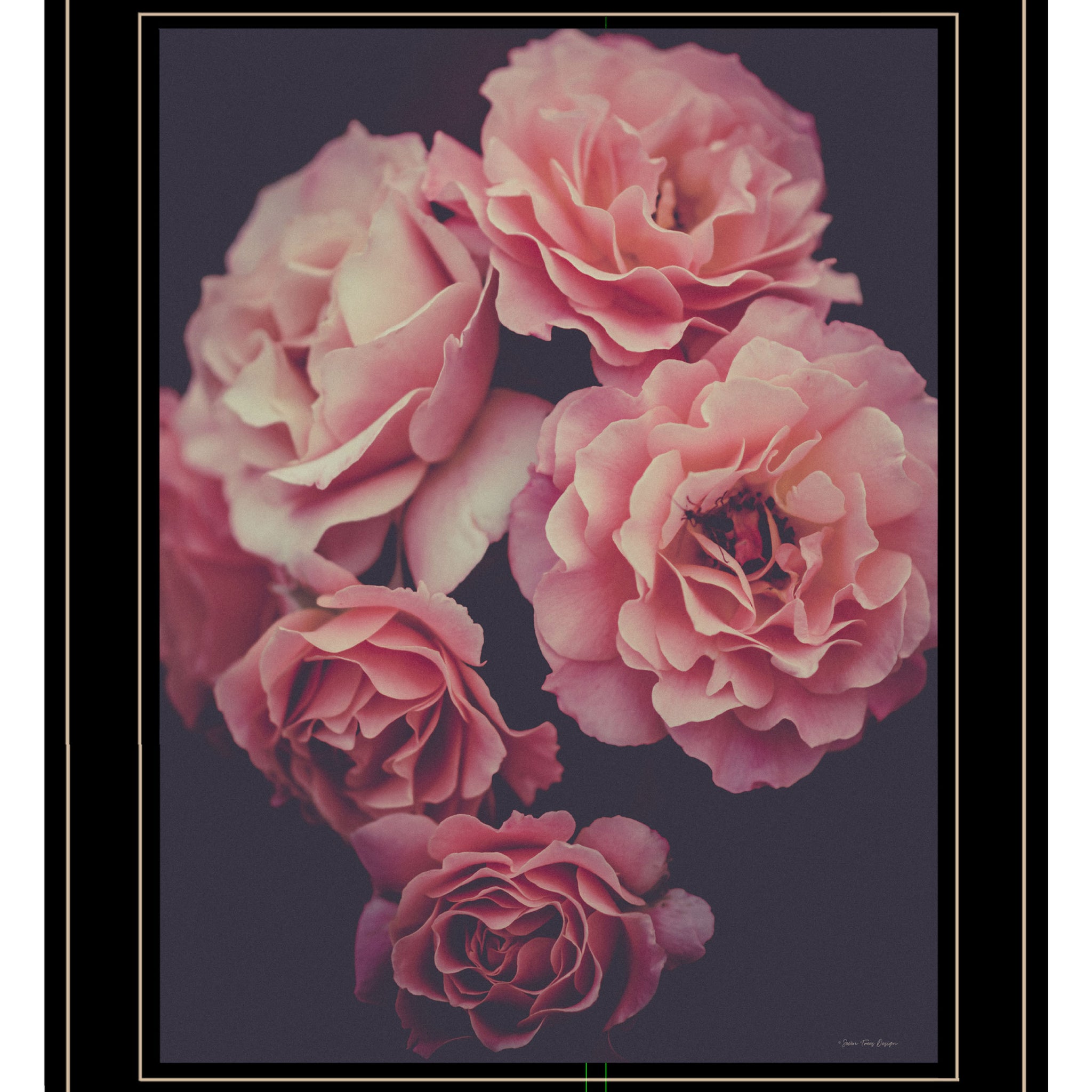 "Dreamy Rose" By Seven Trees Design, Ready To Hang Framed Print, Black Frame Multicolor Paper