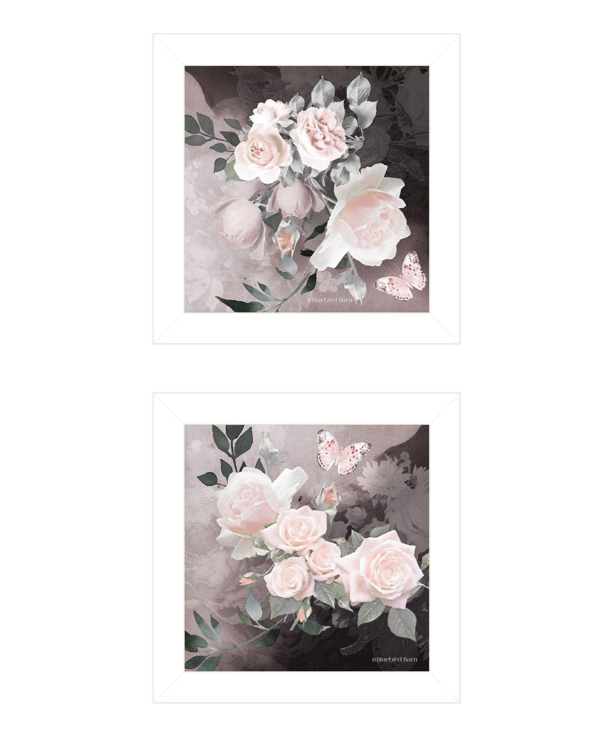 "Noir Roses Collection" 2 Piece Vignette By Bluebird Barn, Ready To Hang Framed Print, White Frame Multicolor Paper