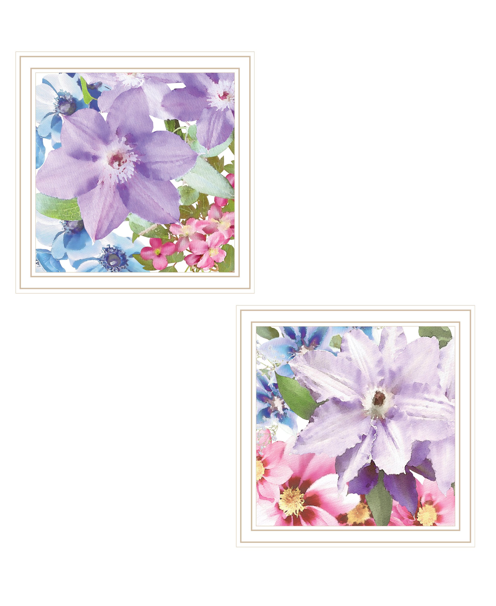"Clematis Collection" 2 Piece Vignette By Bluebird Barn, Ready To Hang Framed Print, White Frame Multicolor Paper