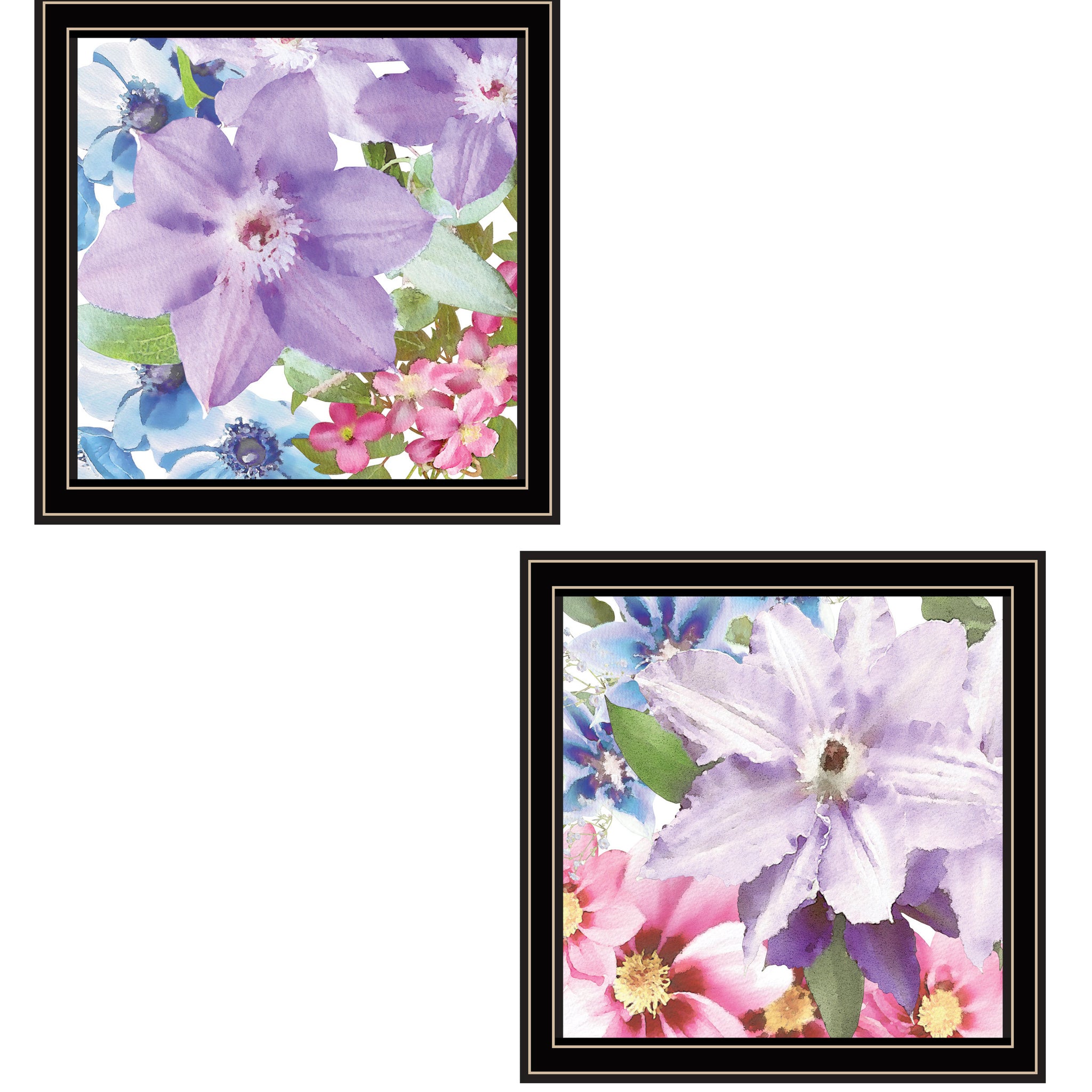 "Clematis Collection" 2 Piece Vignette By Bluebird Barn, Ready To Hang Framed Print, Black Frame Multicolor Paper