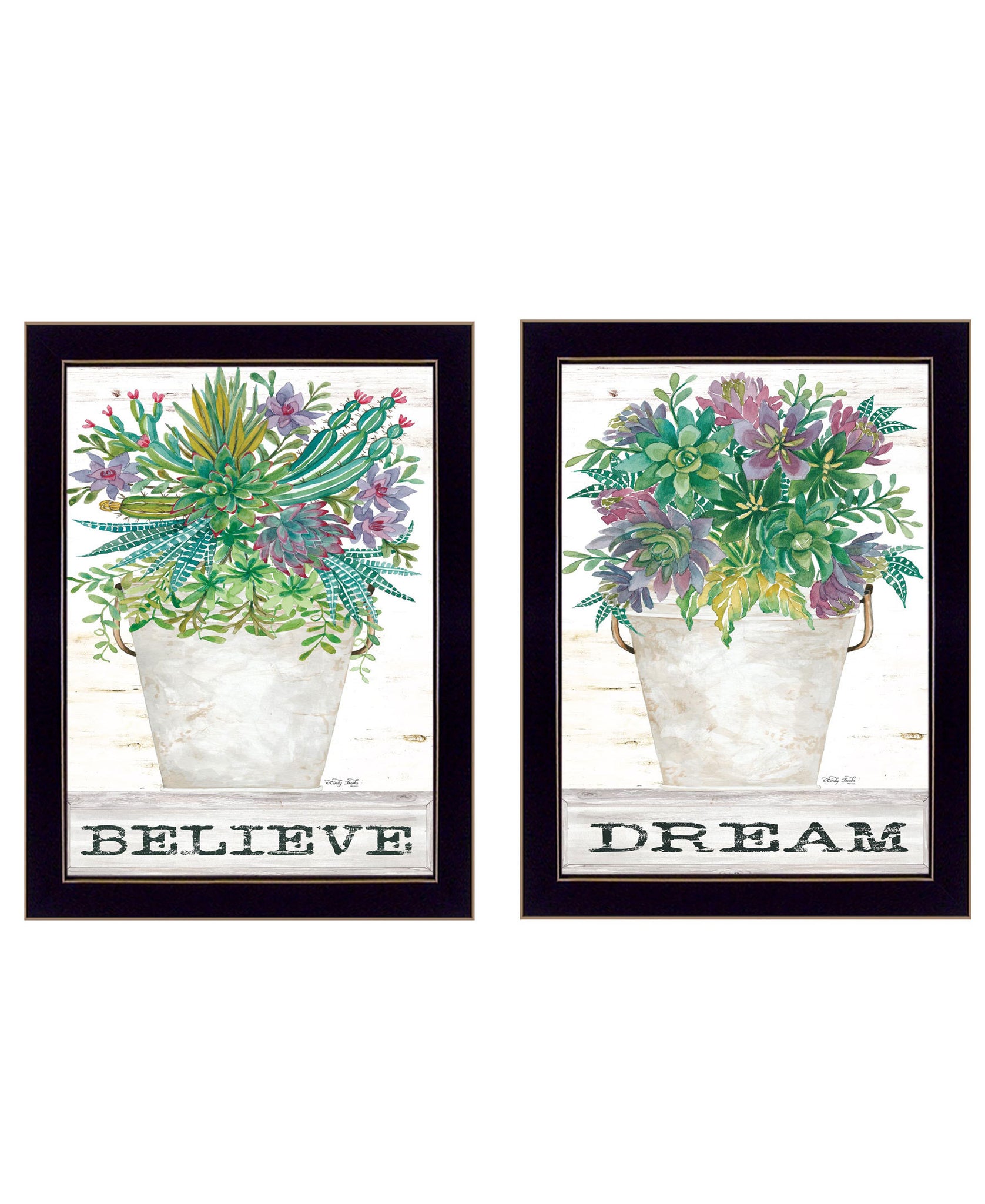 "Succulents Dream & Believe" 2 Piece Vignette By Cindy Jacobs, Ready To Hang Framed Print, Black Frame Multicolor Paper