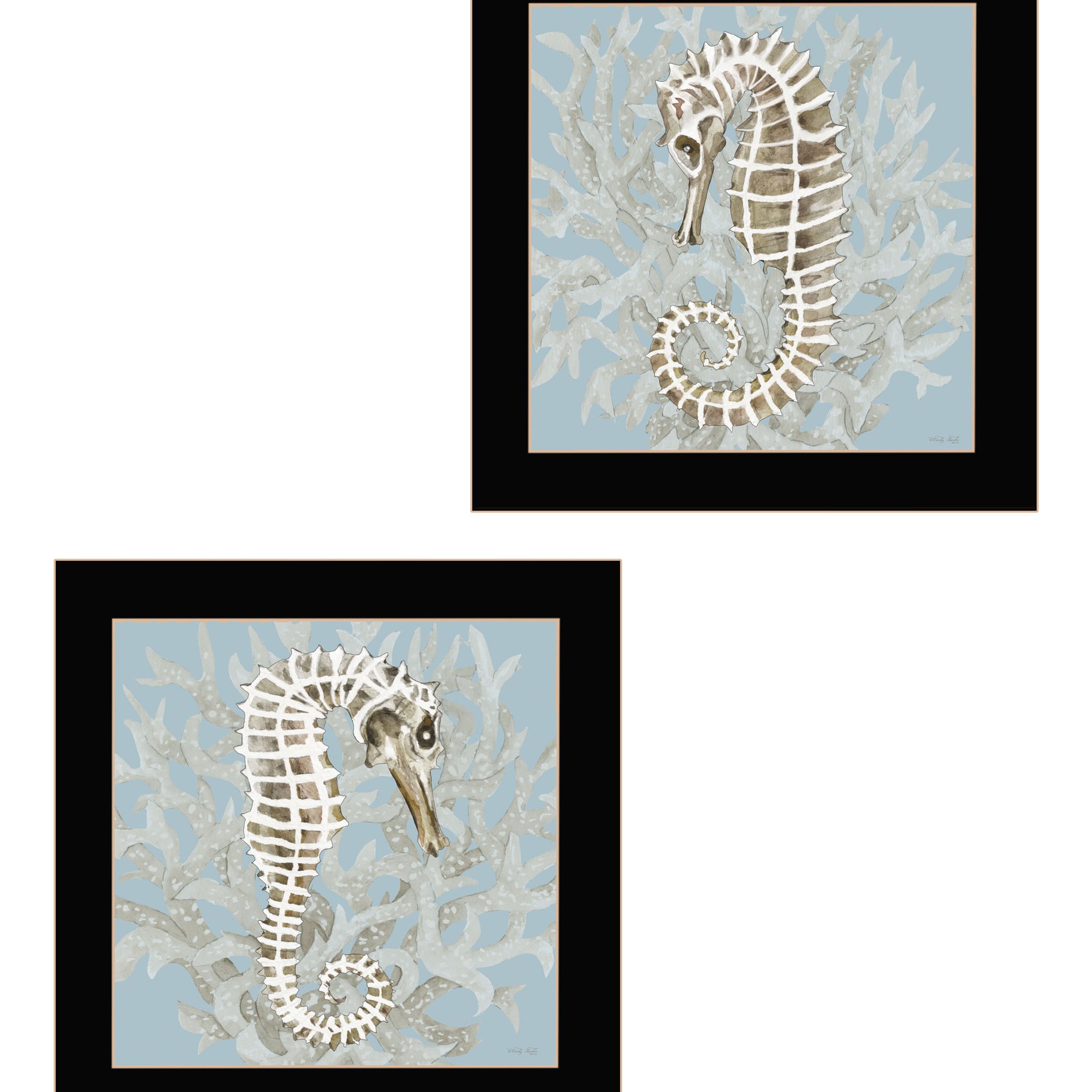 "Coral Seahorse Collection" 2 Piece Vignette By Cindy Jacobs, Ready To Hang Framed Print, Black Frame Multicolor Paper