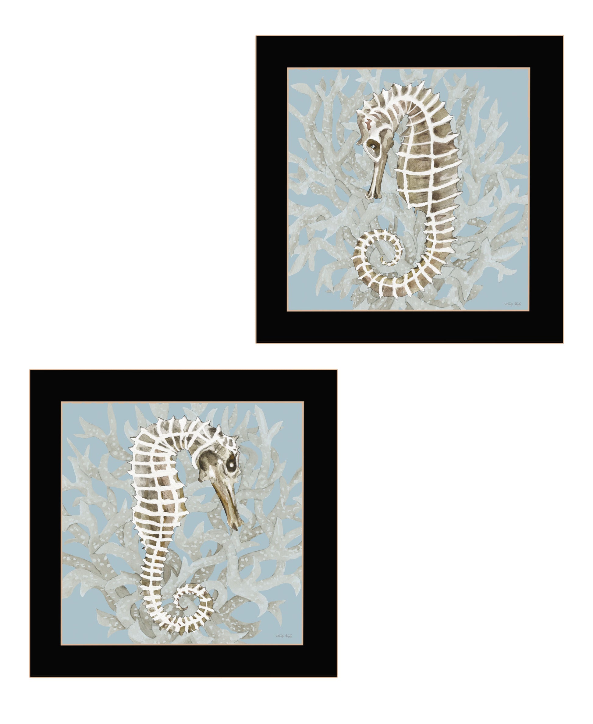 "Coral Seahorse Collection" 2 Piece Vignette By Cindy Jacobs, Ready To Hang Framed Print, Black Frame Multicolor Paper