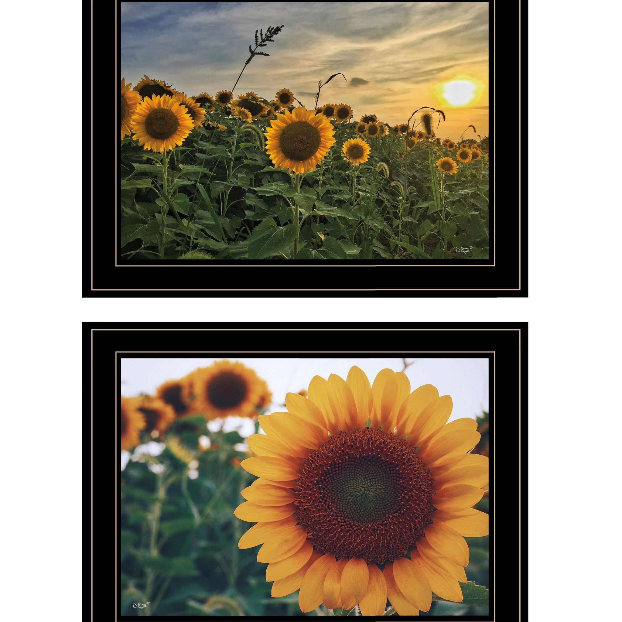 "Midwest Living Collection" 2 Piece Vignette By Donnie Quillen, Ready To Hang Framed Print, Black Frame Multicolor Paper