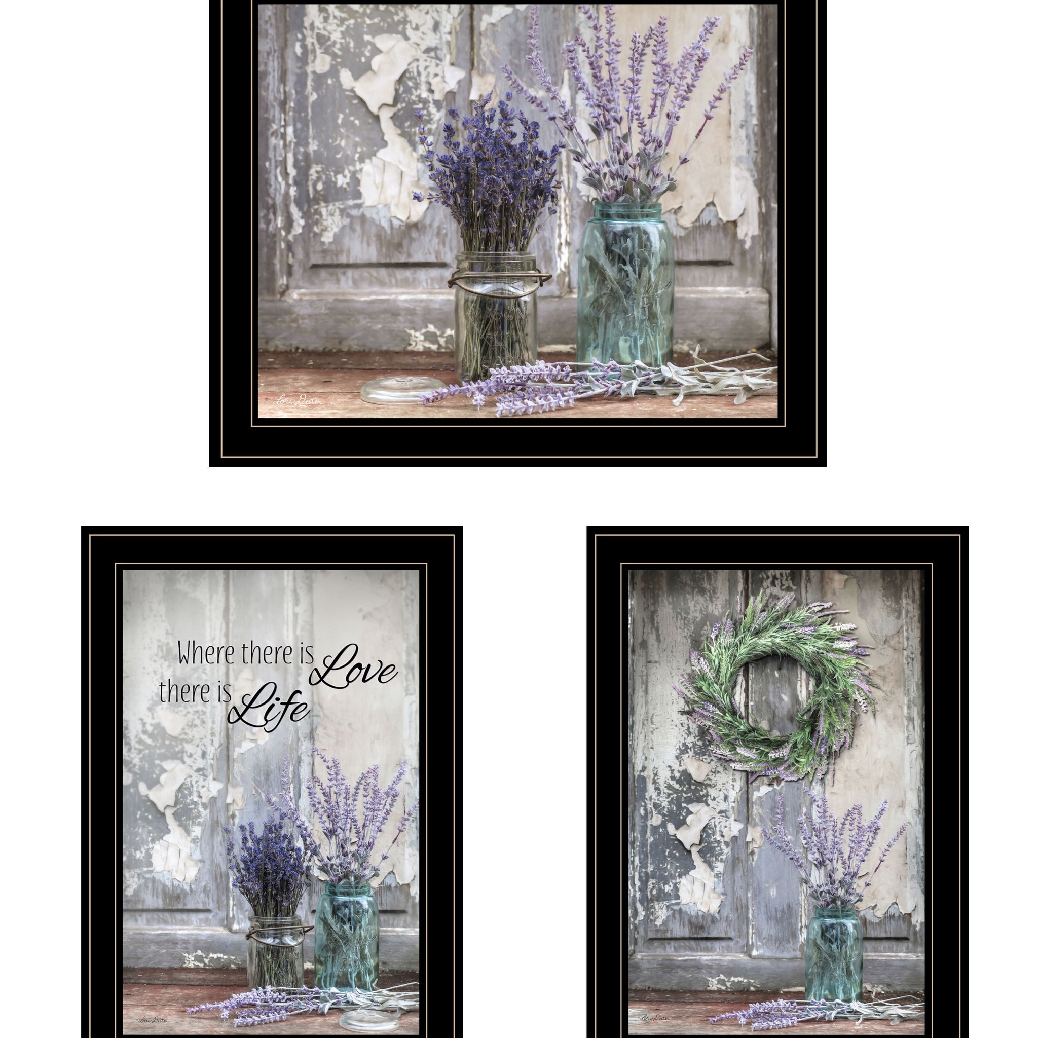 "Abundance Of Beauty Collection" 3 Piece Vignette By Lori Deiter, Ready To Hang Framed Print, Black Frame Multicolor Paper