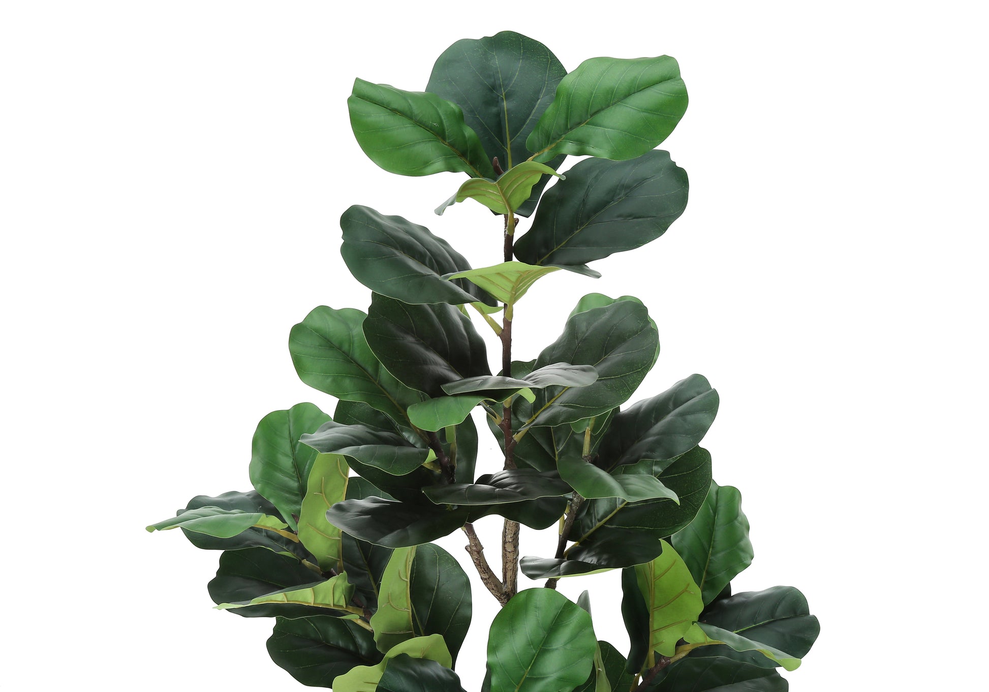 Artificial Plant, 49" Tall, Fiddle Tree, Indoor, Faux, Fake, Floor, Greenery, Potted, Real Touch, Decorative, Green Leaves, Black Pot Green Foam Plastic