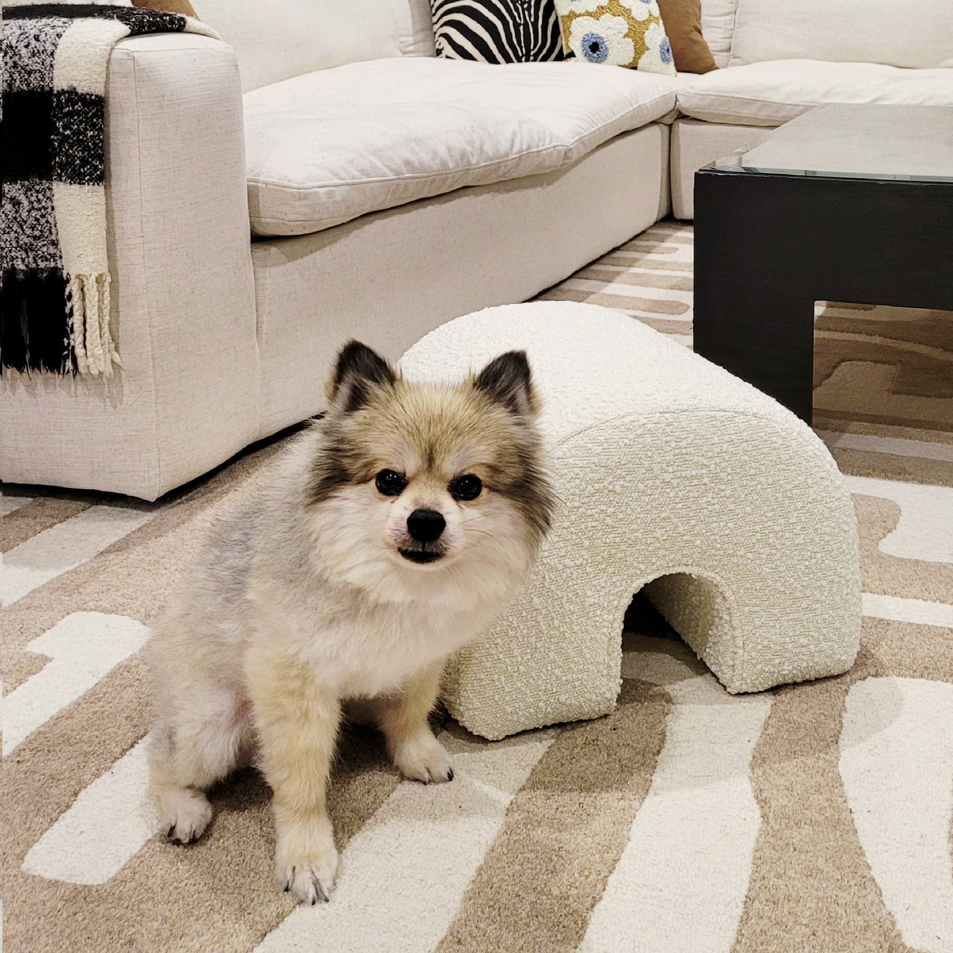 Bridge 16" Arched Upholstered Footstool Ottoman, Ivory White Boucle White Foam Boucle