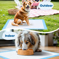 Super Absorbent Waterproof Dog And Puppy Pet Training Pad, Housebreaking Pet Pad,Blue 23.6