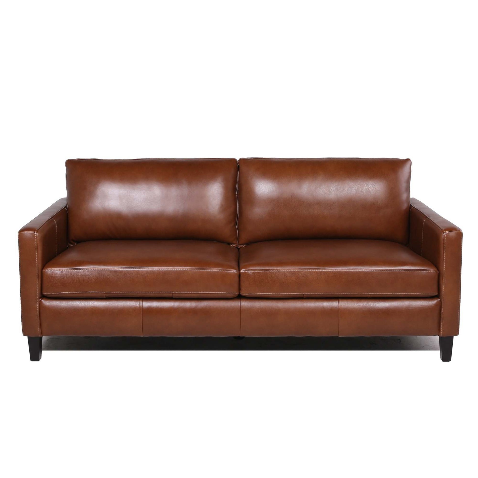 Modern & Contemporary Leather Sofa Light Brown Leather 2 Seat