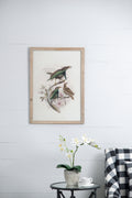 S 2 Bird Framed Print, 19.5X27.5