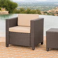 Puerta Club Chair Mp1 Brown Beige Rattan Waterproof Fabric Metal