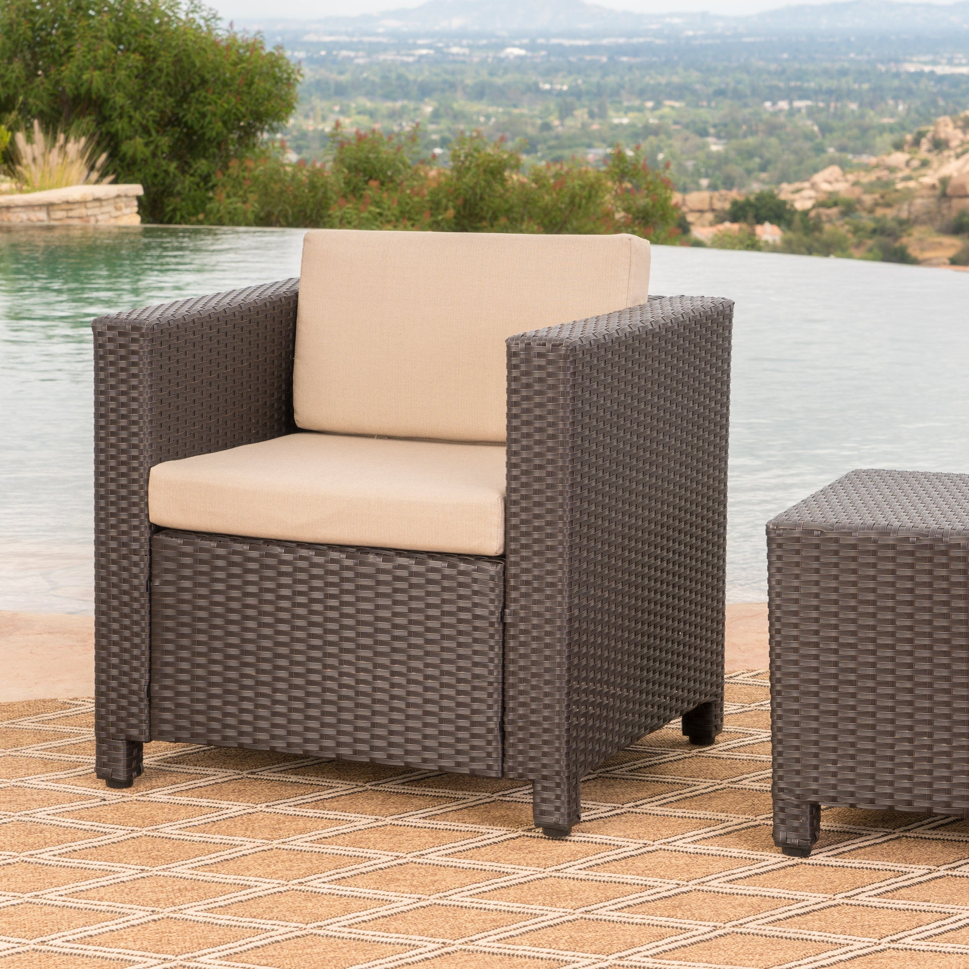 Puerta Club Chair Mp1 Brown Beige Rattan Waterproof Fabric Metal