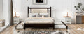 Queen Size Wooden Rattan Platform Bed, With 2 Big Drawers, T Size Trundle, Espresso Queen Espresso Plywood