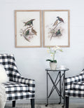 S 2 Bird Framed Print, 19.5X27.5