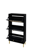 Rattan 3 Door Shoe Rack, Freestanding Modern Shoe Storage Cabinet, For Entryway Black Particle Board