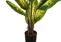 Artificial Plant, 47