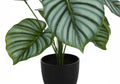 Artificial Plant, 24