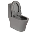 Matte Grey Elongated One Piece Toilet Dual Flush 1.1 1.6 Gpf Water Saving Comfort Seat Height, Map 1000G,Grey Grey Modern Porcelain