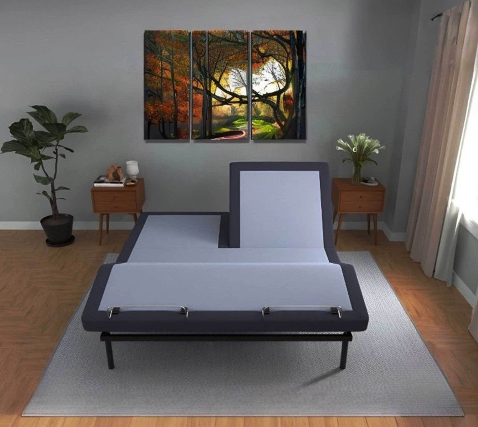 Bt3000 Flex Head Queen Adjustable Bed Base With Head And Foot Position Adjustment Box Spring Not Required Blue Grey Steel