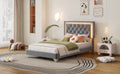 Twin Size Upholstered Bed Frame With Led Lights,Modern Velvet Platform Bed With Tufted Headboard,Grey Twin Grey Velvet