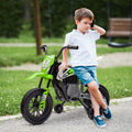 Qaba Kids Dirt Bike With Twist Grip Throttle, 12V Electric Motorcycle, Electric Bike For Toddler With Training Wheels, Rear Suspension & Music For Ages 3 6 Years, Green Green Plastic