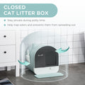 Pawhut Cat Litter Box With Lid, Covered Litter Box For Indoor Cats With Tray, Scoop, Filter, 17