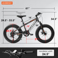 A20316 20 Inch Fat Tire Bike Adult Teen Full Shimano 7 Speed Mountain Bike, Dual Disc Brakes, High Carbon Steel Frame, Front Suspension, Mountain Dirt Bike, City Commuter City Bike, Fat Tire Bike Grey Without Durable Garden & Outdoor Retro Muscle