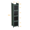 Modern Four Tier Glass Door Cabinet With Featuring Five Tier Storage, For Entryway Living Room Bathroom Dining Room,Dark Green Dark Green Glass,Iron