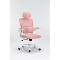 Ergonomic Mesh Office Chair With 3D Adjustable Lumbar Support, High Back Desk Chair With Flip Up Arms, Executive Computer Chair Home Office Task Swivel Rolling Chairs For Adults Cushion Metal Solid Pink Office Sponge Dry Clean Round Handle Office Chairs
