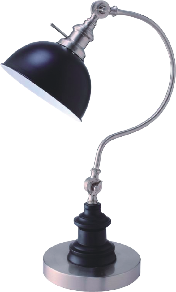 22"H Satin Nickle Good Neck Table Lamp Matte Black,Nickel Led Metal