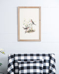 S 4 Bird Framed Print, 15.5X23.5