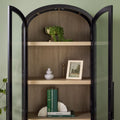 Modern 5 Shelf Arched Tall Bookcase With Glass Doors Black Black Mdf Mdf