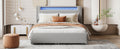 Queen Size Upholstered Platform Bed With Led Frame, With Twin Xl Size Trundle And 2 Drawers, Teddy Fleece, Gray Gray Fleece