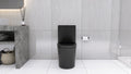 Matte Black Elongated One Piece Toilet Dual Flush 1.1 1.6 Gpf Water Saving Map 1000G,Matte Black Matte Black Bathroom Modern Porcelain