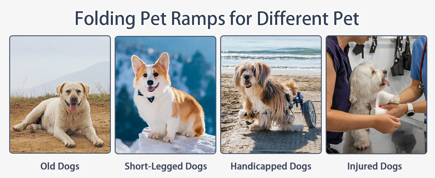 Dog Ramp For Car, 71" Long & 20" Wide Folding Portable Pet Stair Ramp With Non Slip Rug Surface, Extra Wide Dog Steps For Medium & Large Dogs Up To 250Lbs Enter A Car, Suv & Truck Grey Aluminium