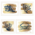4 Pc Vignette Gold Sea Collection White Framed Wall Art For Living Room, Bedroom Wall Art Print For Home Decor By Bluebird Barn Multi Wood Paper