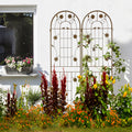 2 Pack Metal Garden Trellis 71