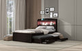 Twin Xl Size Platform Bed With Storage Led Headboard, Charging Station, Twin Size Trundle And 2 Drawers, Dark Brown Box Spring Not Required Twin Xl Dark Brown Wood Bedroom Bed Frame Solid Wood Mdf
