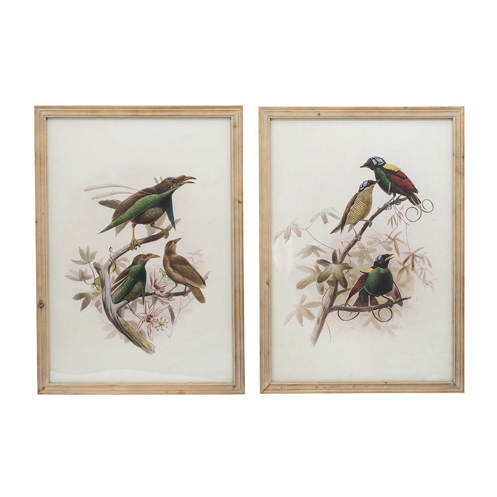 S 2 Bird Framed Print, 19.5X27.5" Multicolor Wood