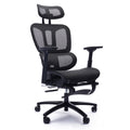 Adjustable Ergonomic Black Mesh Office Chair With Headrest And Footrest, Conference Computer Desk Chair Caster Nylon Black Office Foam Rectangular Contemporary Push Button Office Chairs Plywood Foot Rest Metal Mesh