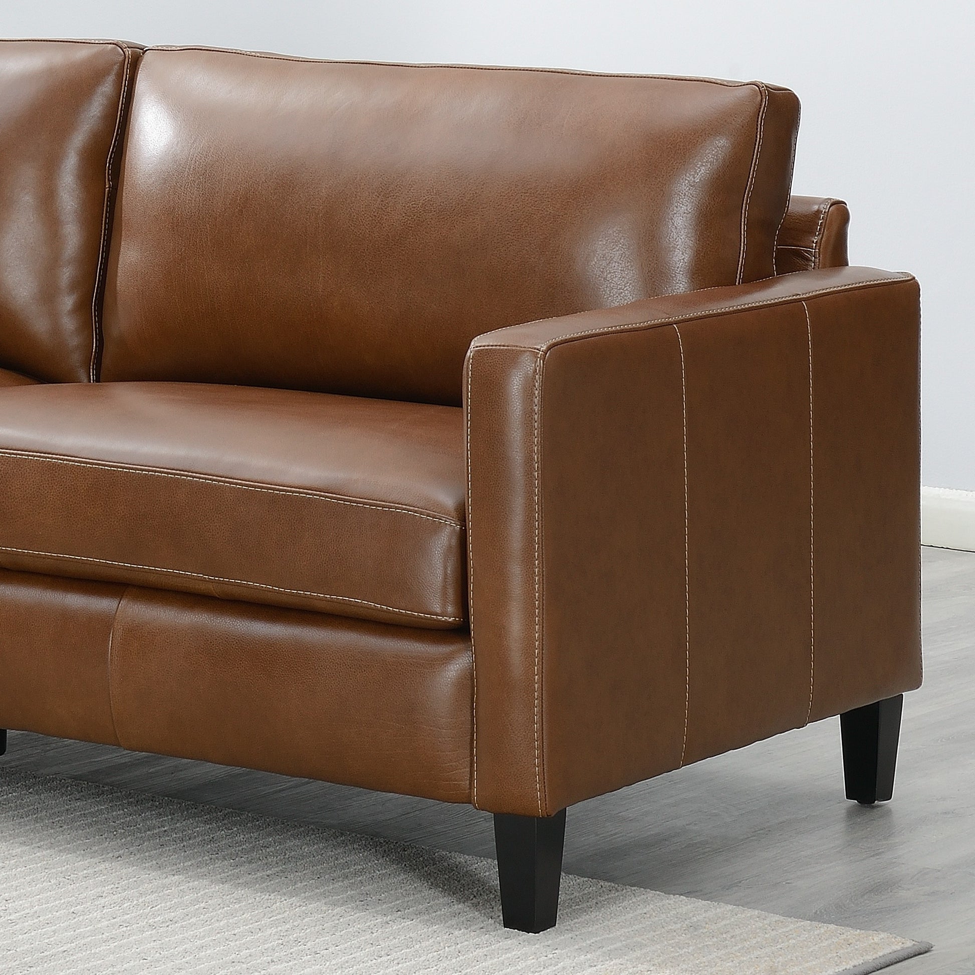 Modern & Contemporary Leather Sofa Light Brown Leather 2 Seat