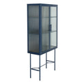 Elegant Floor Cabinet With 2 Glass Doors Living Room Display Cabinet With Adjustable Shelves Anti Tip Dust Free Easy Assembly Blue Color Old Sku:W68766570 Blue Steel