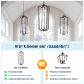 12 Light Farmhouse Kitchen Chandeliers, Matte Black And Sliver Vintage Rustic Cage Light Fixture Adjustable Height Chandeliers For Dining Room Hallway Foyer Entryway E12 Bulbs Not Included Matte Black American Design,Luxury,Modern,Vintage Metal Metal