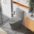 Matte Grey Elongated One Piece Toilet Dual Flush 1.1 1.6 Gpf Water Saving Comfort Seat Height, Map 1000G,Grey Grey Modern Porcelain